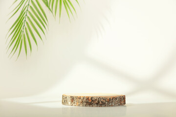 Eco rustic pine tree wood disc platform podium and palm leaves on white light and shadow copy spase...