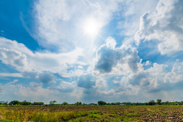 Obraz premium landscape scenery a meadow soil in a rice field Preparation of paddy field for sowing the rice seed with fluffy clouds blue sky daylight background.