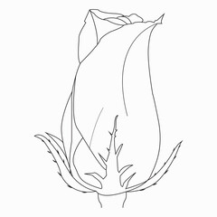 Beautiful Easy Roses Flowers Coloring book For Preschool Children. Cute Educational Flowers Coloring Page For Kids Roses 