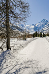 Obraz premium Morteratsch, Morteratschgletscher, Gletscher, Gletscherpfad, Gletscherweg, Piz Bernina, Bellavista, Bernina, Berninapass, Engadin, Alpen, Graubünden, Winter, Winterwanderweg, Langlauf, Schweiz