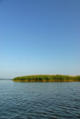 View of the lake on a sunny summer day, Poland