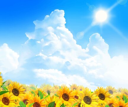 入道雲のある青空に輝く太陽の下美しいひまわりが咲くひまわり畑の初夏フレーム背景素材
