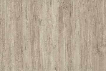 Light color Wood Background Texture with lines