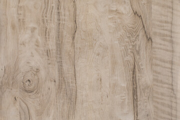 Light color Wood Background Texture with lines	