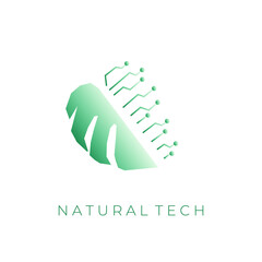 Monstera leaf tech logo
