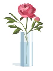 Single pink peony in cylindrical vase in light flat style, isolated on white background
