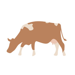 A vector brown cow with white spots on a white background is isolated.