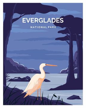 Everglades National Park landscape illustration background. illustration in color style.