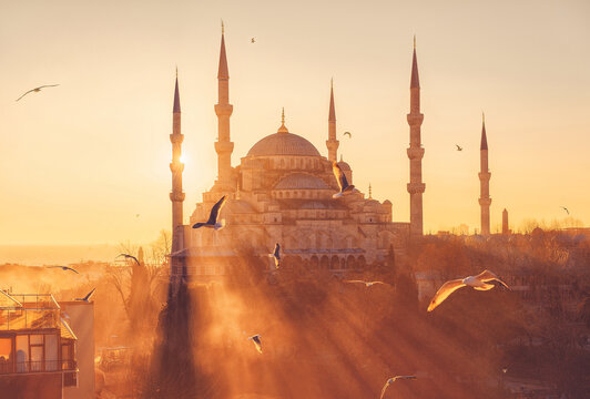 Blue Mosque (Sultanahmet Camii) at sunset. Istanbul, Turkey. Seagulls on the background of sunset. The landmark of Istanbul.