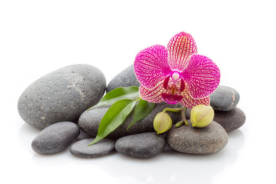 Spa Masage Stones And Orchid Isolated On The White Background.