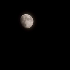 Moon Timelapse, Stock time lapse : Full moon rise in dark nature sky, night time. Full moon disk time lapse with moon light up in night dark black sky. High-quality free video footage or timelapse