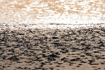 Beach pebbles and sea foam in contrasting afternoon light on a beach in Cyprus. Suitable as background - obrazy, fototapety, plakaty