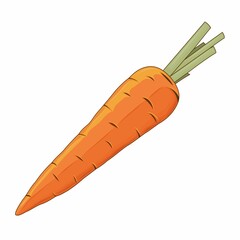 Carrot Vector Illustration