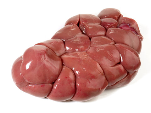 Fresh Veal Kidney isolated on white Background
