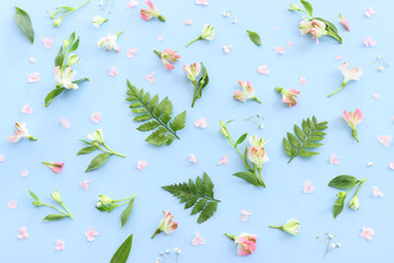 Top view image of pink and green flowers composition over blue background .Flat lay