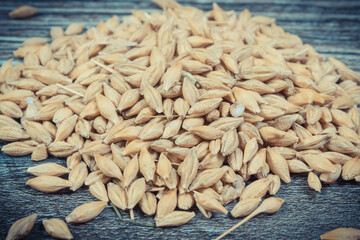 Wheat grain on old rustic wooden board. Agriculture