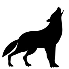 wolf black silhouette isolated vector
