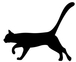 cat black silhouette isolated vector