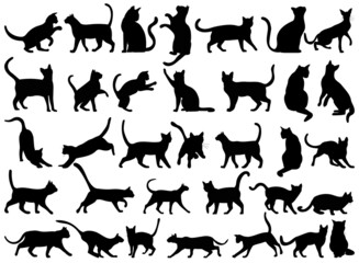 cats set silhouette isolated vector