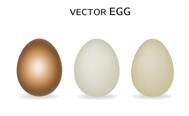 Vector egg. Realistic chicken eggs, advertising, web.