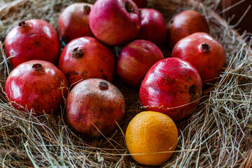 Red pomegranate harvest