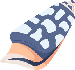 Marine Shell Colored Illustration