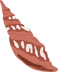 Mollusc Shell Colored Illustration