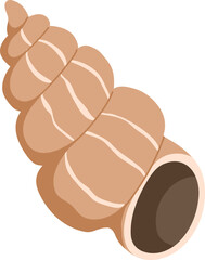 Marine Seashell Colored Illustration © Good Studio