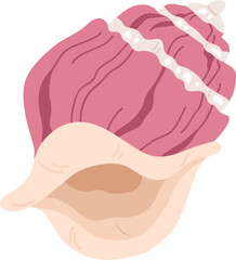 Beautiful Seashell Colored Illustration