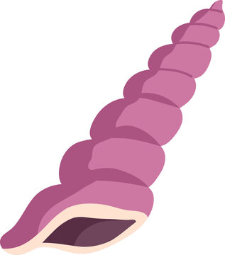 Marine Shell Colored Illustration