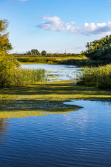 Fototapeta na wymiar Beautiful pastoral scene of the Dnipro River in Ukraine.