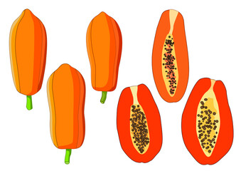 papaya fruit ripe and half isolated on white background illustration vector
