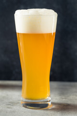 Cold Refreshing Craft Beer IPA