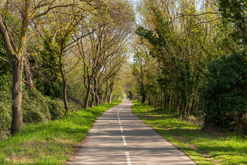 Cycle and pedestrian path in the undergrowth, in early spring, in Poussan, Occitanie, France
