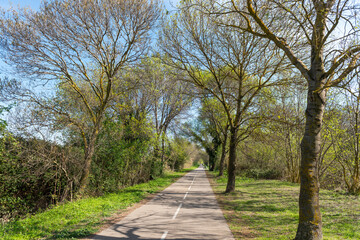 Cycle and pedestrian path in the undergrowth, in early spring, in Poussan, Occitanie, France