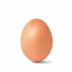 Brown egg isolated on white. Vector illustration.