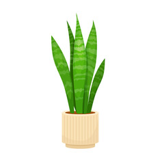  house plant. Vector illustration design. Isolated flat vector illustration. Flat illustration with green set house plant on white background for decoration design. Design element. potted plants

