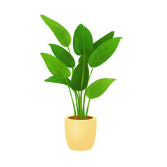  house plant. Vector illustration design. Isolated flat vector illustration. Flat illustration with...