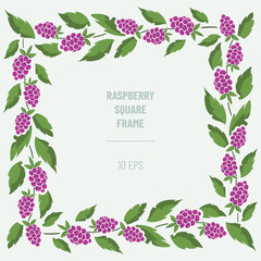 Vector frame with blackberries and foliage; square border composition. Perfect for greeting cards, posters, banners, invitations and other design. - 494730026
