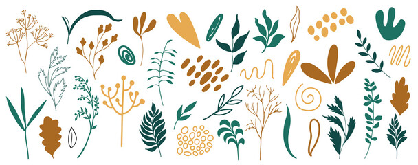 Organic shapes, plants, spots, lines, dots. Vector set of minimal trendy abstract hand drawn isolated elements for graphic design	