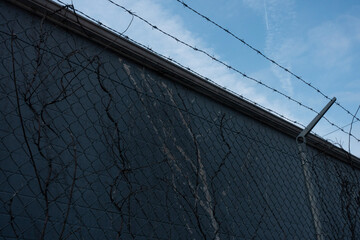 barb wire fence and wall and blue sky