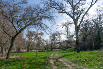 Camino atravesando bosques y campo.