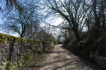 Camino atravesando bosques y campo.