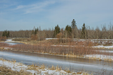 Pylypow Wetlands on the Last Day of Winter