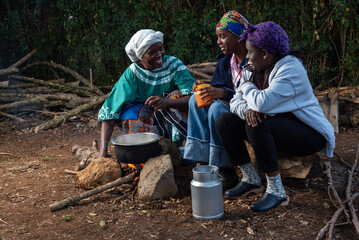 Older African Woman helping young teenage girls to  prepare a pot of tea - obrazy, fototapety, plakaty