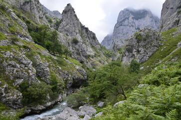 La ruta hacia Bulnes en plenos Picos de Europa, España.