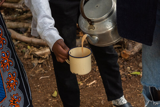 Kanga Bilder Durchsuchen 2,046 Archivfotos, und Videos