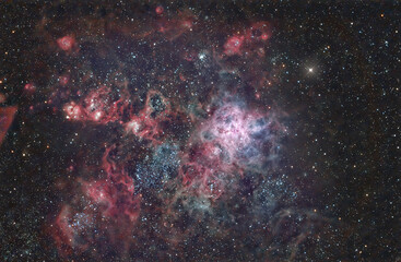 Fototapeta na wymiar Tarantula Nebula