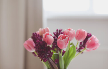 pink tulip bouquet in daylight. Spring stll life, birthday, Easter concept