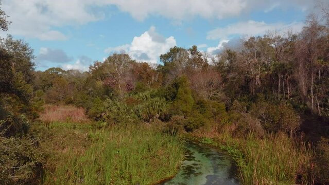 Emerald water flows in Rocks Springs Run at Kings Landing Florida